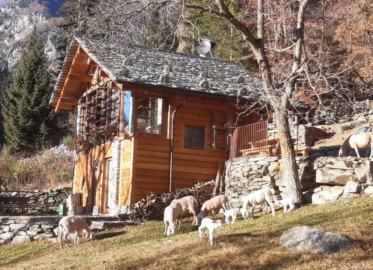 Baita Del Noce Mollia Exteriör bild